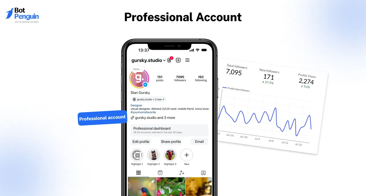 Professional Account