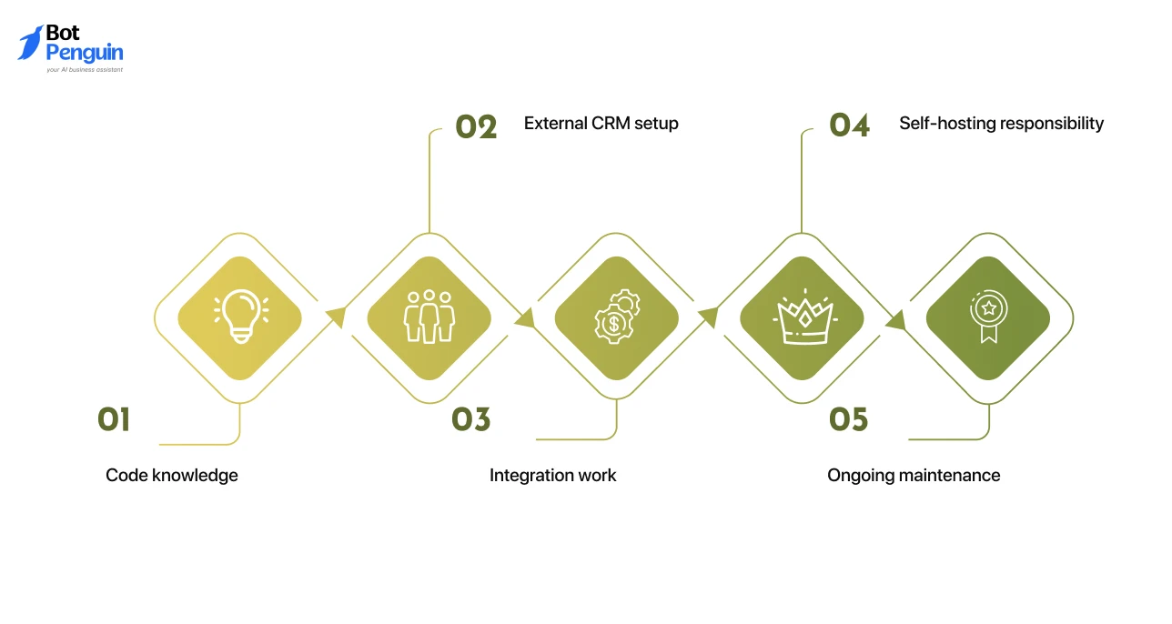 the technical requirements of Botpress white-label, including coding knowledge, external CRM integration, self-hosting, integration work, and ongoing maintenance.