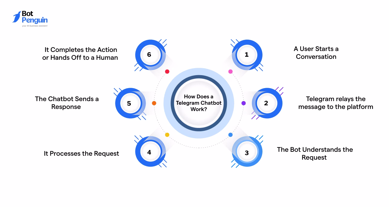 Step-by-step infographic explaining how a Telegram chatbot works, from user message and AI processing to automated responses and human handoff when needed.